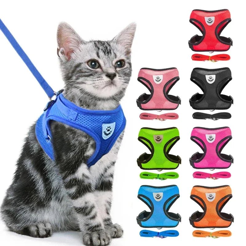 SOS STORE | KATTEN - & PUPPY RIEM - SOS STORE